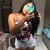 Fabii Soares's profile image