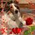 Nancy McKenzie's profile image