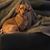 Annette Shelley's profile image