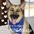 Wendy Schindler's profile image