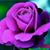 Pamela Hipply Hefling's profile image
