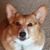 Ron Orcutt's profile image