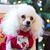 Deborah Horton Holland's profile image