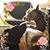 Amalia Apostolidis-Gountas's profile image