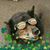 MaryEllen Harper O'Connell's profile image