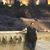 Soraya Diaz Rodriguez's profile image