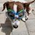 Kimberly Jones's profile image
