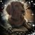 Karen Berti's profile image