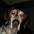 Karin Keller Cecil's profile image