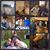 Lindsay N Christopher Camaioni's profile image
