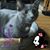 Sally Musgrove's profile image