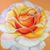 Valerie Chelonis's profile image