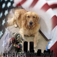 Blake Graven's profile image