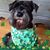 Mary Smeltzer's profile image