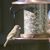Denise Fleeger Haney's profile image