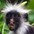 Mike J Dombrowski's profile image
