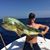 Spenser Kehoe's profile image