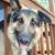 Brenda Jordan Diehl's profile image