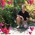 Steven Johnson's profile image