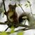 Sheila Doles's profile image