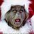Julie Filkins-Crysler's profile image
