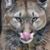 Tammie Cook's profile image