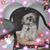 Christa J Trav's profile image