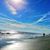 Alyce S. Lee's profile image