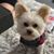 Uyen Ho's profile image