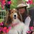 Roxanne Pomel's profile image
