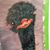 Sheri Ann Venters's profile image