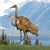 Andrea Nicewander's profile image