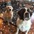 Beth Koster's profile image