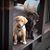 Beth Satkofsky Bird's profile image