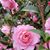 Ruth Ann Kriner Alsup's profile image