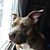 Jen Battjes's profile image