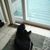 Linda Hawkins-Bowen's profile image