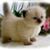 Karen Marie Brainard-Yeatman's profile image