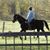 Karen Bebak Ebersole's profile image