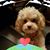 Page Hendrix's profile image
