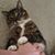 Philip Adama's profile image