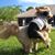 Rhonda Vacanti's profile image