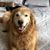 Deb Feldman's profile image