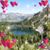 Diane Wagner's profile image