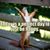 Lauralee Alter's profile image