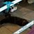 Heather Marie Geary's profile image