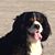 Jennifer Stravinski Lukoff's profile image