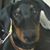 Debbie Bourassa's profile image