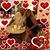Kim Constable's profile image