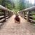 Andrea Liley's profile image